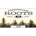 American Roots Strings Monel Lights